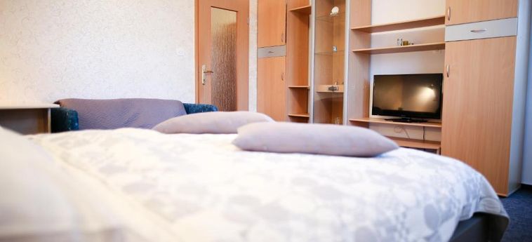 Hotel Pansion Brezov Gaj Kranjska Gora: Foto 