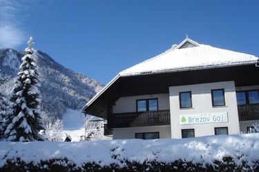 Hotel Pansion Brezov Gaj Kranjska Gora: Photo 