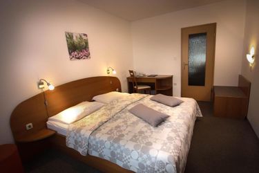 Hotel Pansion Brezov Gaj Kranjska Gora: Photo 