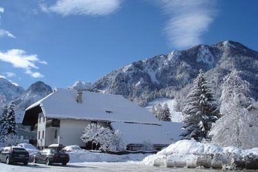 Hotel Pansion Brezov Gaj Kranjska Gora: Photo 