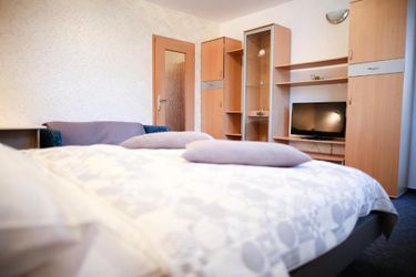 Hotel Pansion Brezov Gaj Kranjska Gora: Photo 