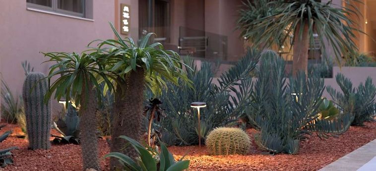 Hotel Paralos Venus Suites - Adults Only Kreta: Foto 