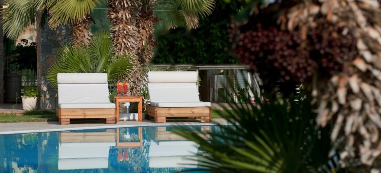 Socrates Hotel Malia Beach Kreta: Foto 