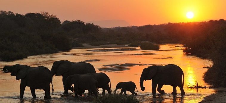Hotel Inyati Game Lodge Kruger National Park: Foto 