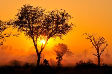 Hotel Inyati Game Lodge Kruger National Park: Photo 
