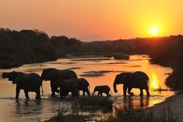 Hotel Inyati Game Lodge Kruger National Park: Photo 