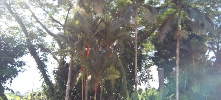 Telang Usan Hotel Kuching: Foto 