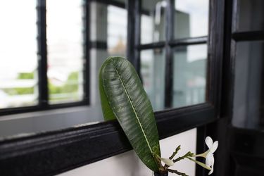 The Marian Boutique Lodging House Kuching: Photo 