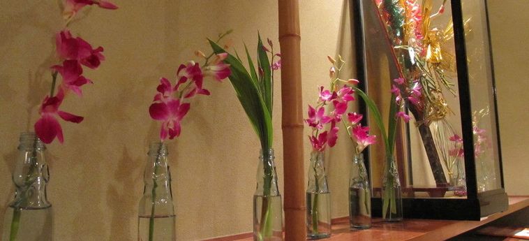 Dyeing And Hostel Nakashimaya - Caters To Women Kumamoto - Kumamoto Prefecture : Photo 