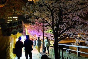 Business Hotel Shuttle Kumamoto - Kumamoto Prefecture: Photo 