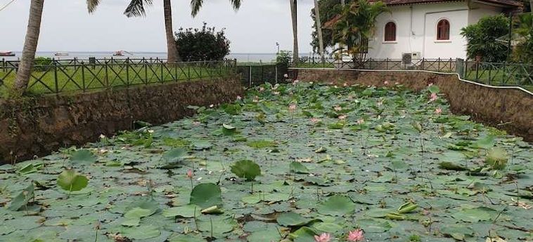 Hotel Backwater Ripples Kumarakom : Photo 