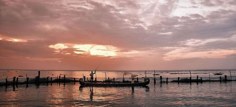 Hotel Backwater Ripples Kumarakom : Photo 