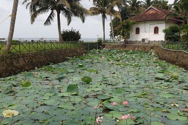 Hotel Backwater Ripples Kumarakom: Photo 