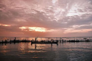 Hotel Backwater Ripples Kumarakom: Photo 