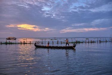 Hotel Backwater Ripples Kumarakom: Photo 