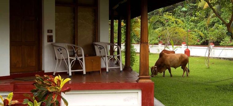 Hotel Coconut Lagoon Kumarakom: Foto 