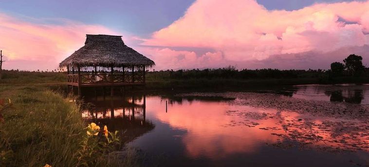 Hotel Coconut Lagoon Kumarakom: Foto 