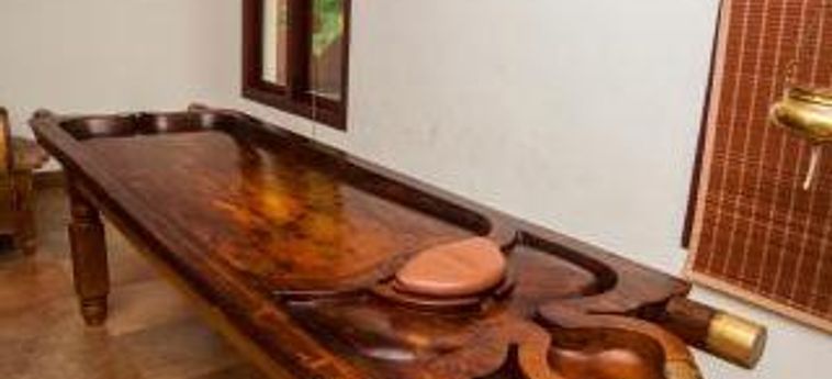 Hotel The World Backwaters Kumarakom : Photo 
