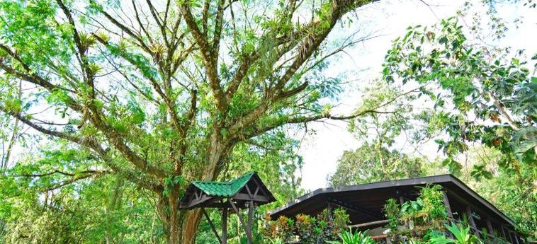 Chachagua Rainforest Hotel & Ecolodge:  LA FORTUNA - ALAJUELA