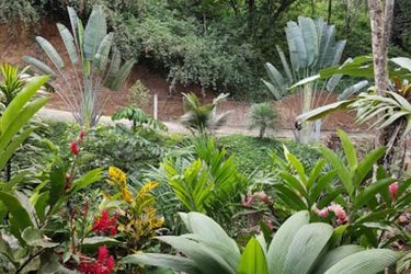 Hotel Volcano Gold Loft La Fortuna - Alajuela: Photo 