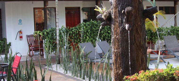 Hotel Arenal Poshpacker La Fortuna - Alajuela : Photo 