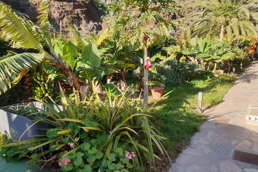 Apartment Izcague Castilla:  LA GOMERA - CANARY ISLANDS
