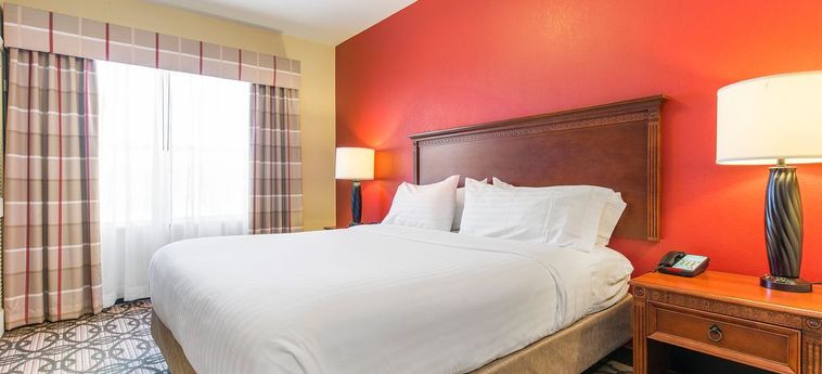 Hotel Holiday Inn Express & Suites Lagrange:  LA GRANGE (GA)