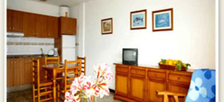 Hotel Apartamentos Rocamar:  LA PALMA - ISOLE CANARIE