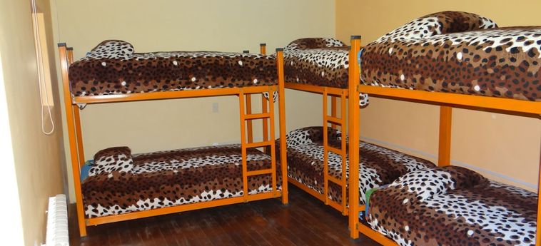 Paititi Hostel La Paz: Foto 