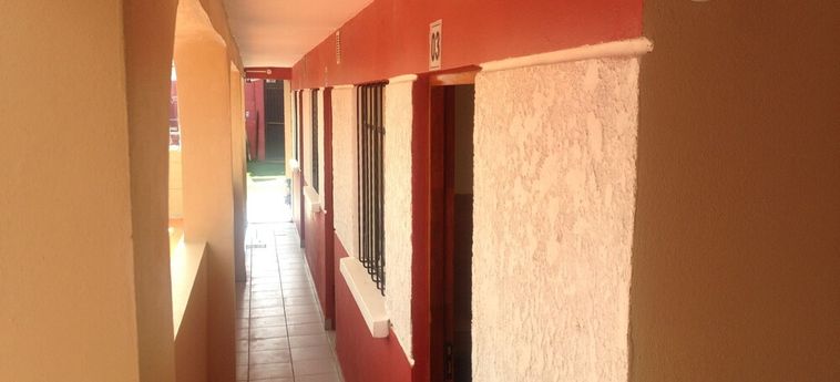 Wolf Hostel La Paz: Foto 