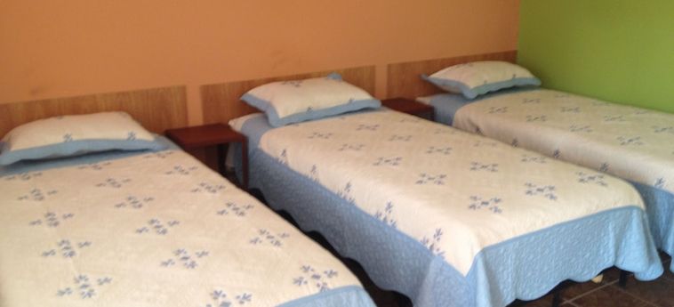 Wolf Hostel La Paz: Foto 