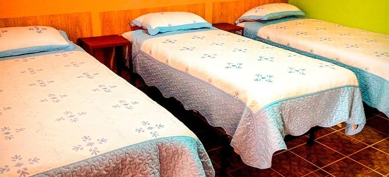 Wolf Hostel:  LA PAZ