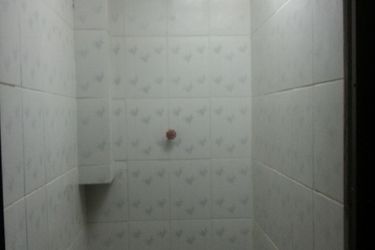 Wolf Hostel La Paz: Photo 
