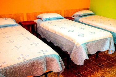 Wolf Hostel La Paz: Photo 