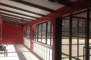 Wolf Hostel La Paz: Photo 