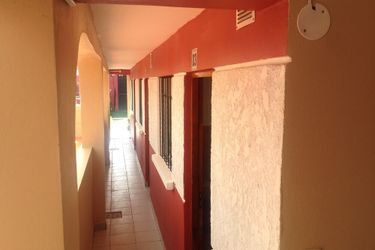 Wolf Hostel La Paz: Photo 