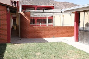 Wolf Hostel La Paz: Photo 