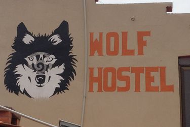 Wolf Hostel La Paz: Photo 
