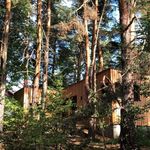 NEW HIGH QUALITY CHALET NEAR COLMAR, IN THE HEART OF THE WINE ROUTE AND IN THE MIDDLE OF THE FOREST 3 Stars