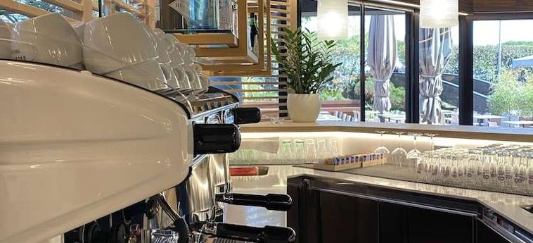 Alevic Hotel Sirmione Lago De Garda: Foto 
