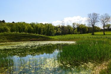 Agriturismo La Filanda Lake Garda : Photo 