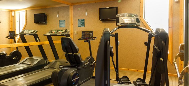 Hotel Red Wolf Lodge At Olympic Valley Lake Tahoe (Ca): Foto 