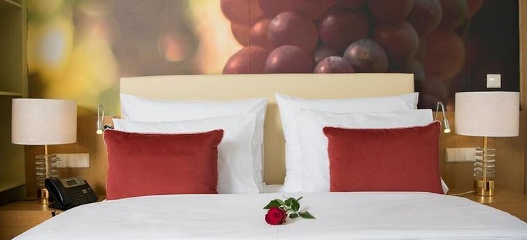 Hotel Douro Castelo Signature Lamego : Photo 
