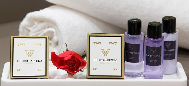 Hotel Douro Castelo Signature Lamego : Photo 