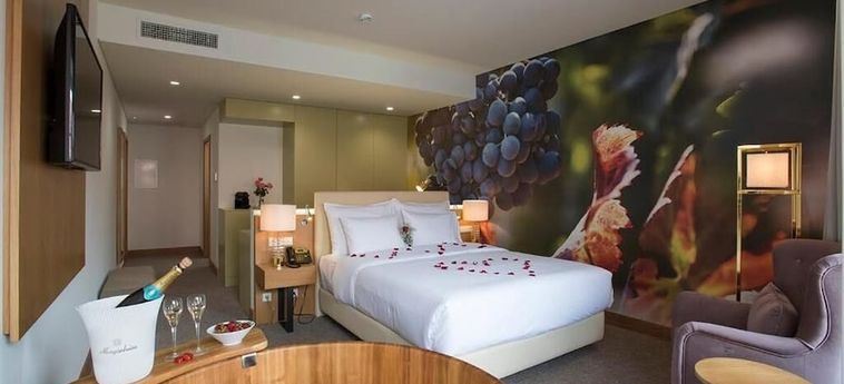 Hotel Douro Castelo Signature Lamego: Foto 