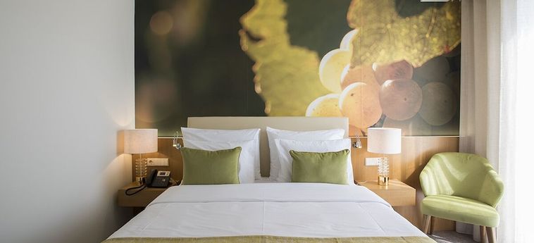 Hotel Douro Castelo Signature Lamego: Foto 