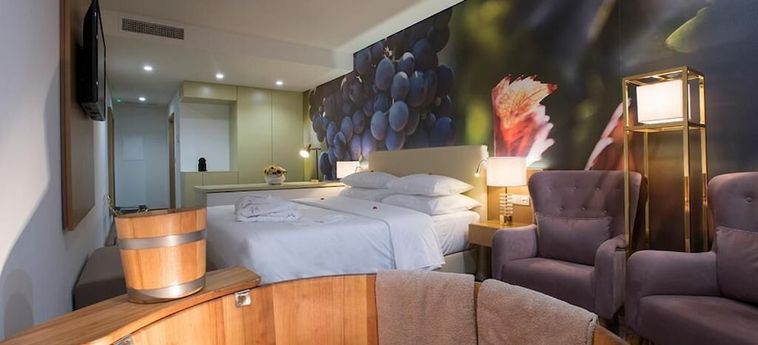Hotel Douro Castelo Signature Lamego: Foto 