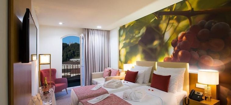 Hotel Douro Castelo Signature Lamego: Foto 