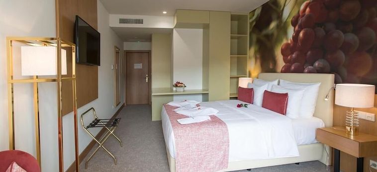 Hotel Douro Castelo Signature Lamego: Foto 
