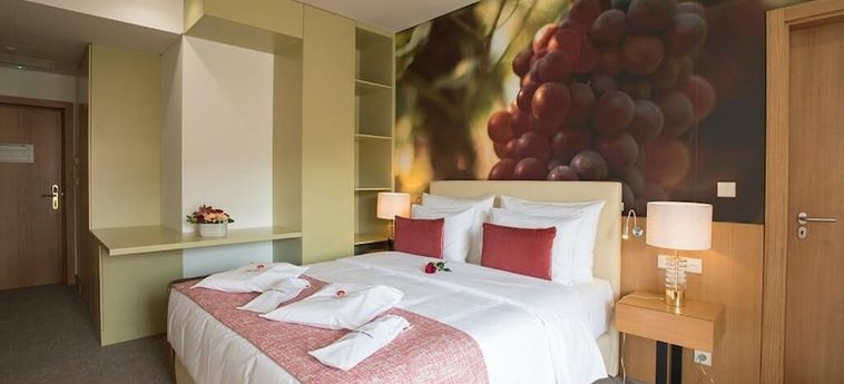 Hotel Douro Castelo Signature Lamego: Foto 
